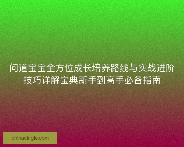 问道宝宝全方位成长培养路线与实战进阶技巧详解宝典新手到高手必备指南